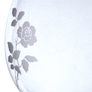 AFFECTIO: benevolance