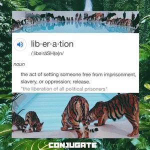 Liberation
