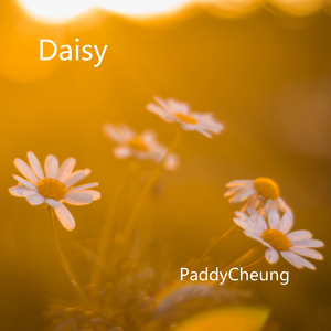 Daisy
