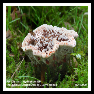 Hydnellum (Original Mix)
