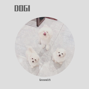 DOGI(Original Mix)