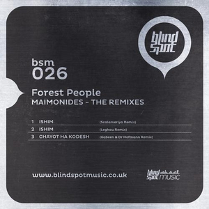 chayot ha kodesh (gabeen & dr hoffmann remix)