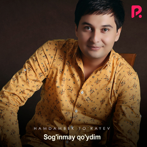 Sog'inmay qo'ydim