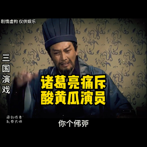 三国演戏版酸黄瓜