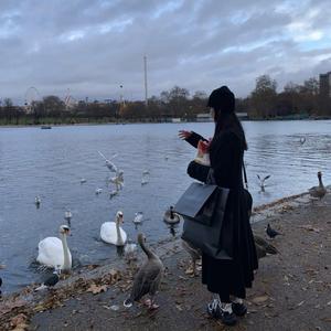 Zara Larsson-Lush Life（Subai / J.Ale remix）