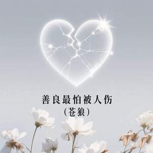 善良最怕被人伤