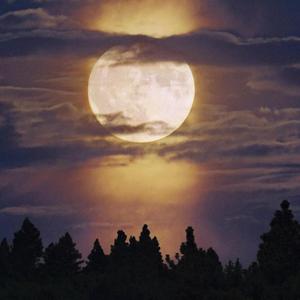 白色星球会放这首歌吗