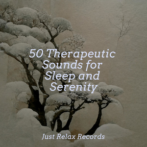 Ethereal Enchantment Ensemble