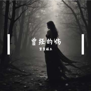 曾经的伤