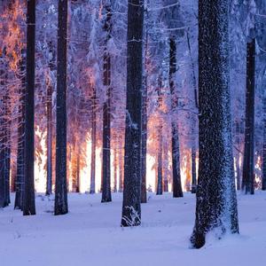 等不来花开抖音热歌2022最新