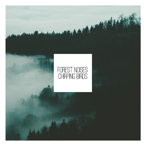 Waldgeraeusche für Kinder zum Entspannen