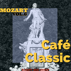 모차르트_Mozart_Sonata for Two Pianos In D Major K448 1st Movement