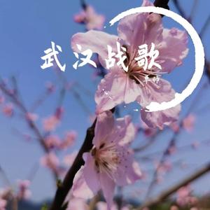 武汉战歌2020