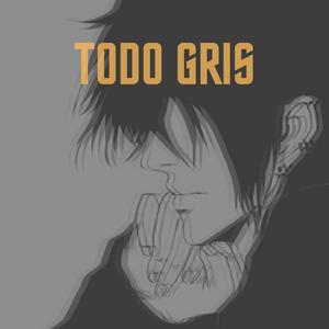 Todo Gris