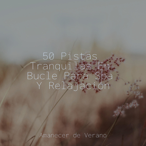 Silencio Sumergido