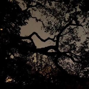 1443（Prod by Yzwww）