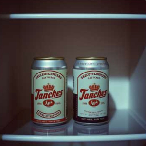 永恒的星光 .wav