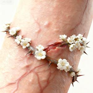 疤（Prodby.Cells108&Lean）