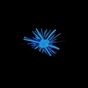 Depuis l’automne…