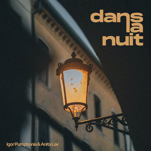 Dans La Nuit (Original Mix)