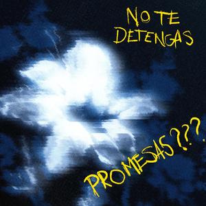 Promesas???
