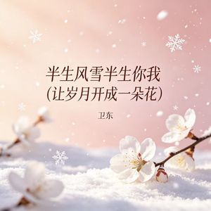 半生风雪半生你我（让岁月开成一朵花）