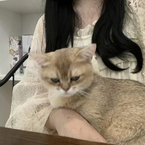 The true that you leave（翻自 小仪）