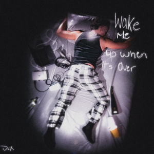 Wake Me Up