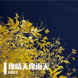 像晴天像雨天