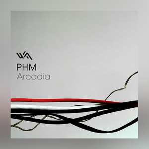 Arcadia (Maxime Miville Remix)