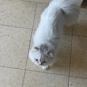 1031_s_0bc3othlqaab5iab5x5qcvrl45gdxdzqdwka