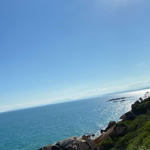 I see sun（春与你）