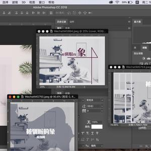 被驯服的象【男版】