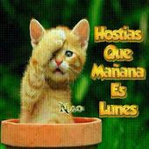 ronuna