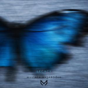 Listen to Your Heart