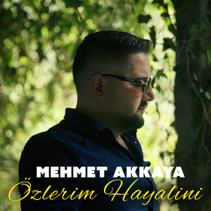 Özlerim Hayalini