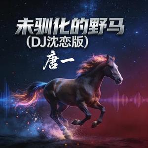 未驯化的野马 (DJ沈恋版).wav