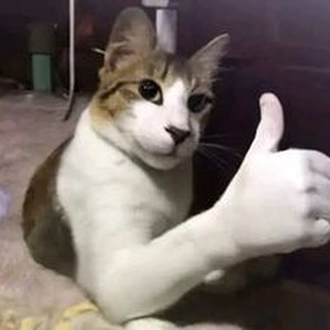 met her on the internet slowed