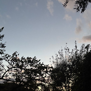 Delicate (feat. 歌愛ユキ)