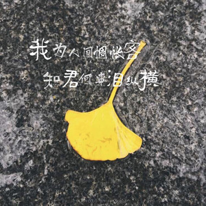 Wonderful U（翻自 AGA）