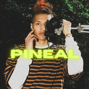 Pineal