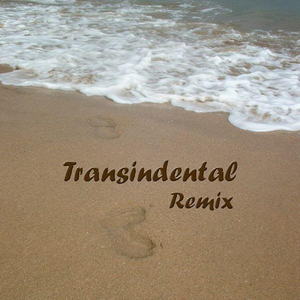 Transindental (Michael Bachmeier Remix)