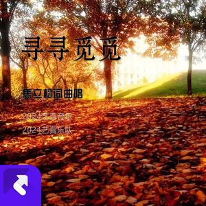 寻寻觅觅 (现场)