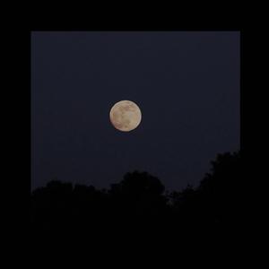 世纪冷战 Demo(1)