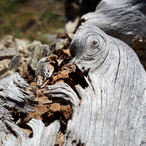 Binaural Beats 4 Hz Calm And Relaxed Not Stressed Or Anxious