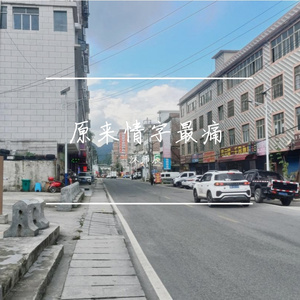 沐师辰-原来情字最痛