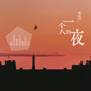 一个人的夜
