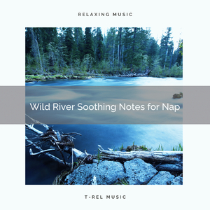 Take a Nap and Relax with Gentle River Noises