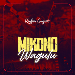 Mikono wagulu (Radio Edit)