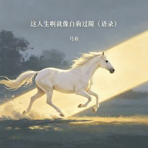 这人生啊就像白驹过隙(语录）